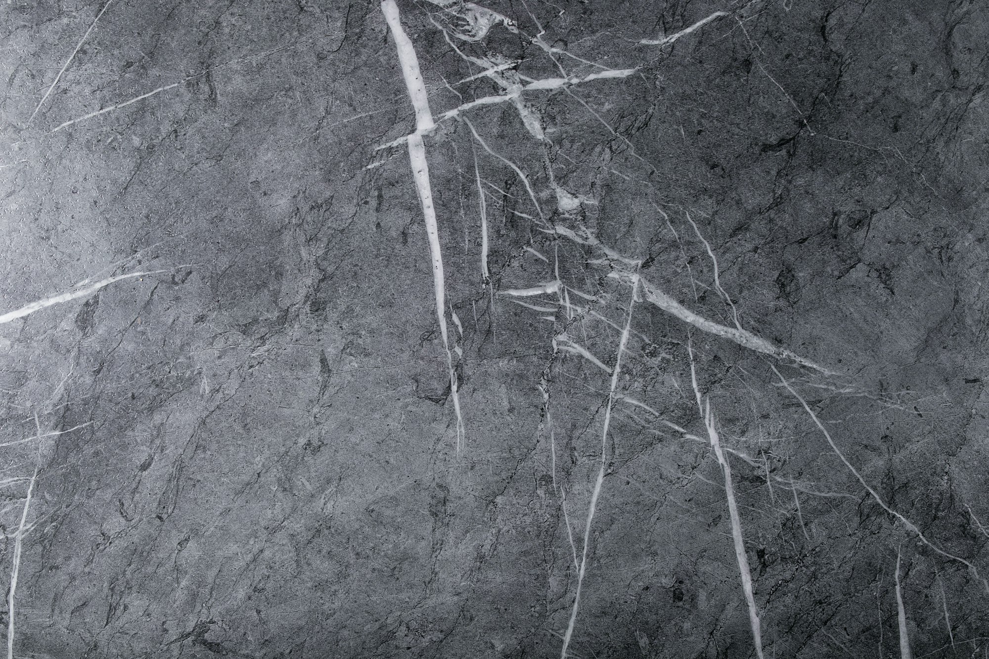 Marble surface with veining